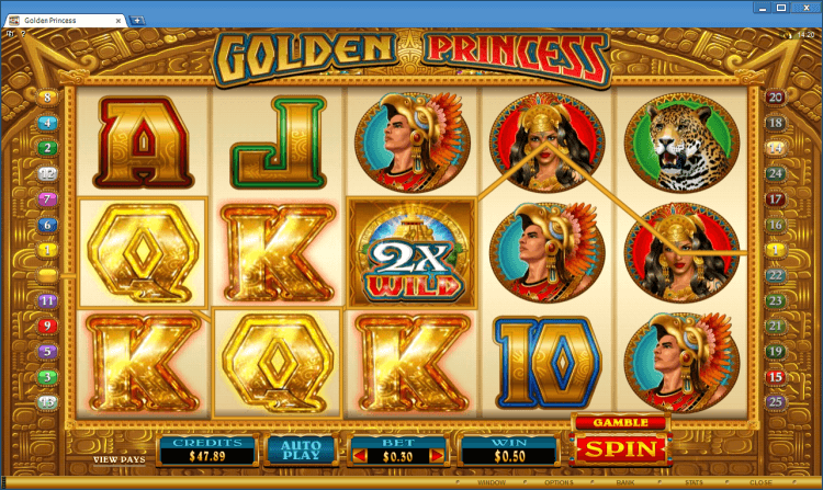 Casino Slots USD 289977